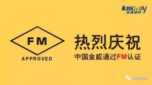 热烈庆祝中国球王会体育通过FM认证