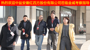 中盐安徽红四方股份有限公司领导莅临球王会体育